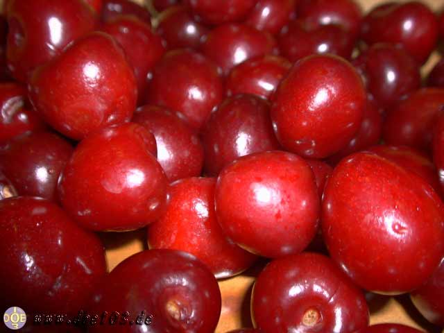 Makro-doepics-a-03