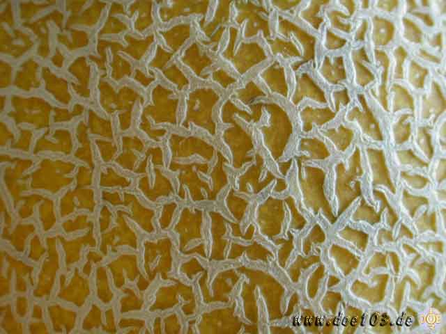 Doe-Pics-a-19  Was ist das ? Erinnert irgendwie an Keith Haring.