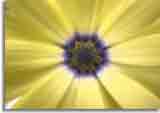 Makro-doepics-a-05